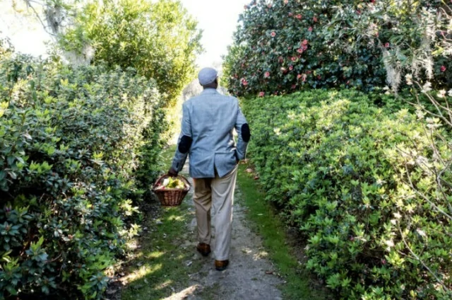 Thirty Ways to Make Your Garden Look Older