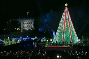 Guide to Christmas in Washington, D.C.: Holiday Events and Attractions