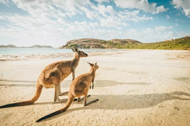 The 9 Best National Parks in Western Australia